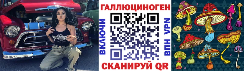 Псилоцибиновые грибы MAGIC MUSHROOMS  Купить где  Темрюк 